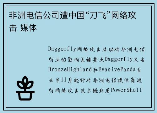非洲电信公司遭中国“刀飞”网络攻击 媒体