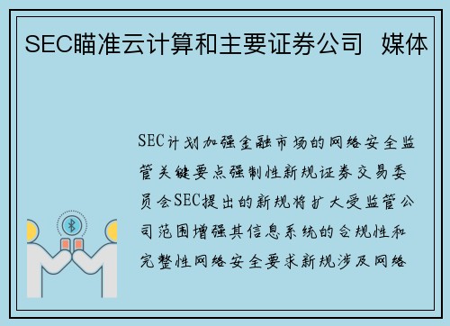 SEC瞄准云计算和主要证券公司  媒体